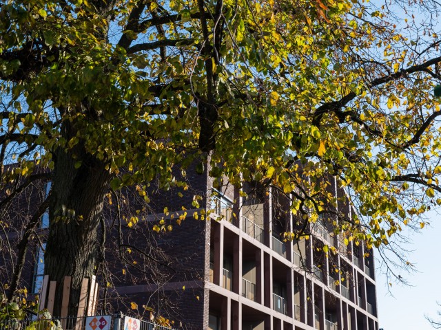 Afbeelding gemaakt door Stam + De Koning Bouw