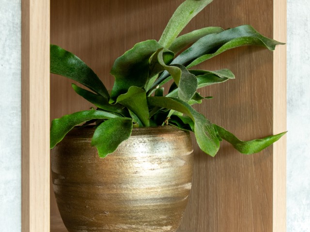 Verschuren Interieurbouw