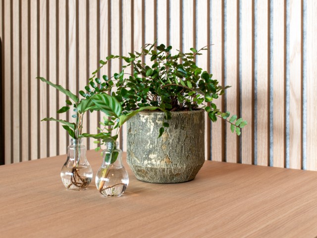 Verschuren Interieurbouw