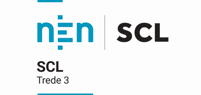 VEILIGHEIDSLADDER TREDE 3 ✅